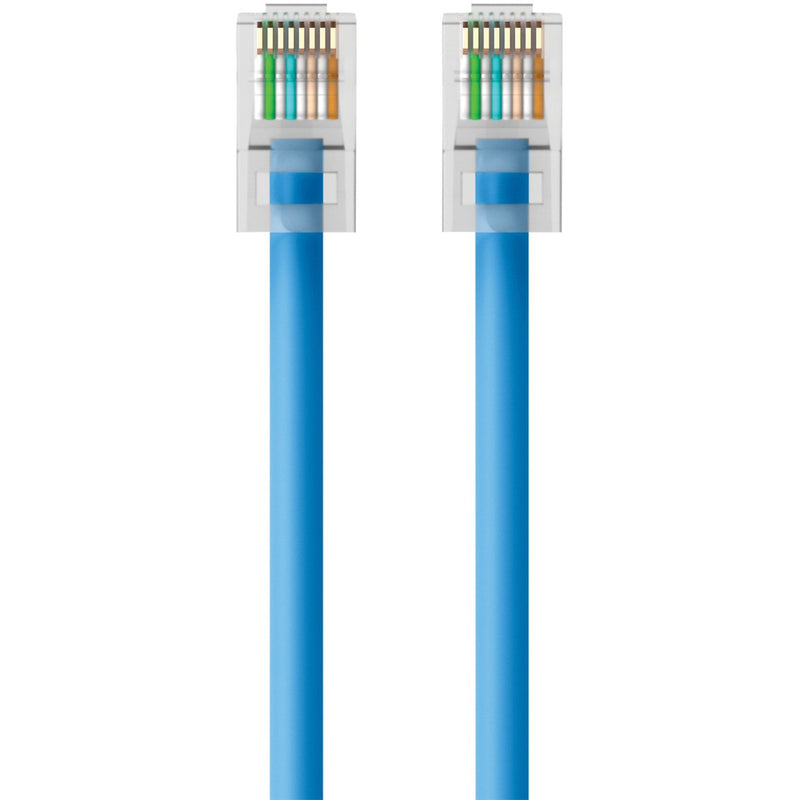 Full-length view of blue Cat.6 ethernet cable with detailed connector ends