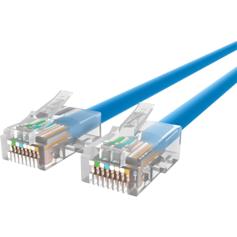 Close-up view of transparent RJ-45 connectors on blue Cat.6 ethernet cable showing internal wiring