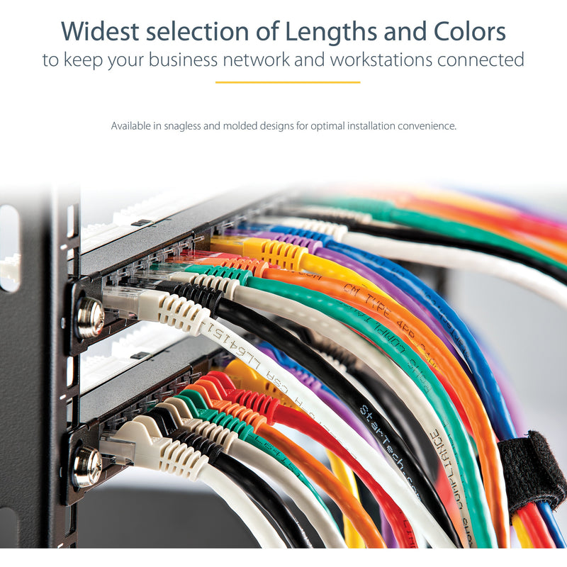 Network patch panel showing organized multi-colored Cat6 cable installations