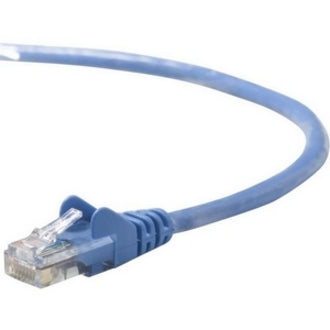 Blue Belkin Cat5e network cable with snagless RJ-45 connector showing molded strain relief design