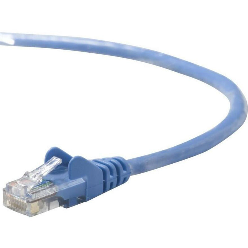 Close-up view of Belkin Cat 5e blue network cable showing RJ45 connector with snagless boot design