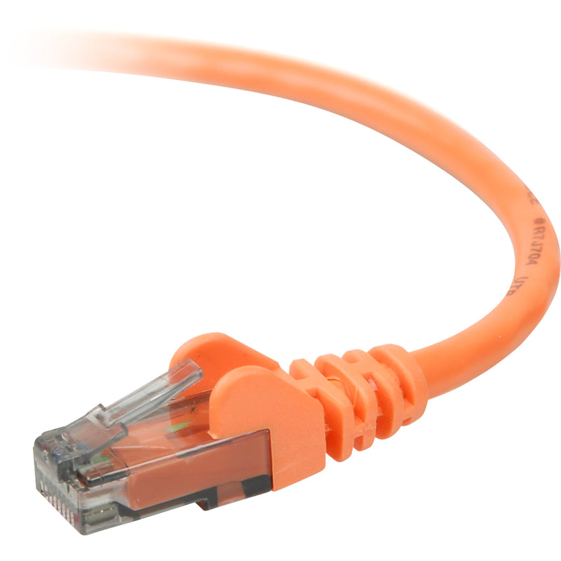 Close-up view of Belkin Cat 6 orange ethernet cable connector showing snagless boot design and RJ-45 termination