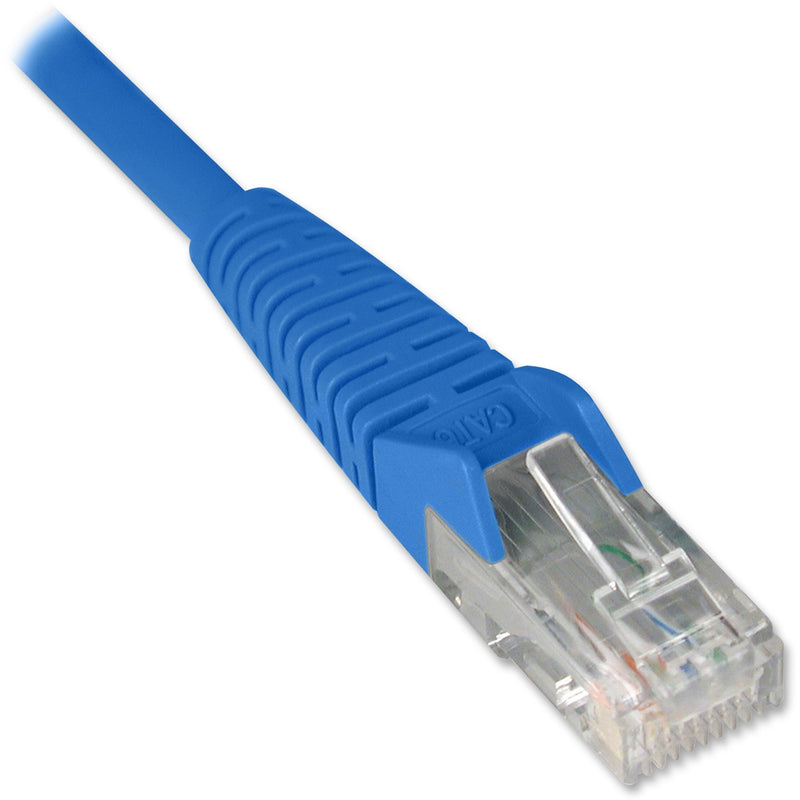 Close-up view of Tripp Lite Cat6 cable's blue snagless boot and transparent RJ45 connector with gold contacts