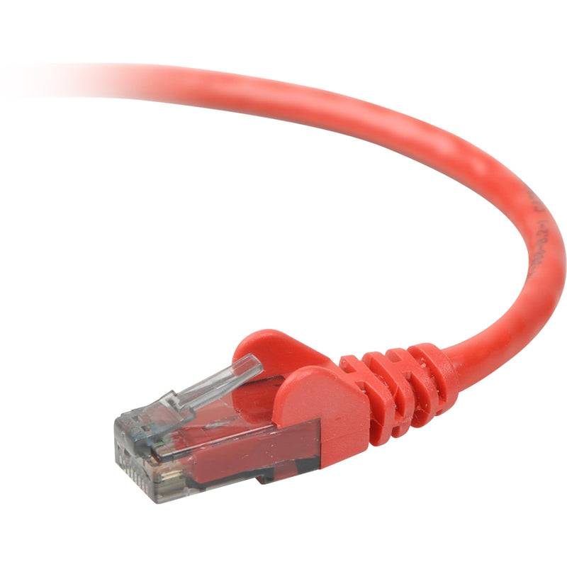 Close-up view of red Belkin Cat6 network cable with transparent RJ45 connector and snagless boot design