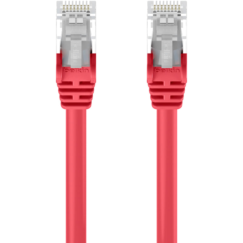 Detailed view of Belkin Cat.6 cable RJ-45 connector construction and contact design