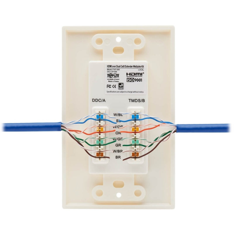 Close-up of Cat6 cable wiring implementation with color coding