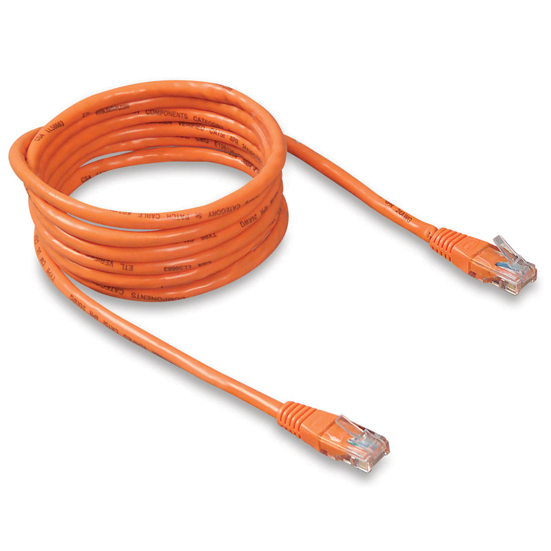 Orange Belkin Cat6 ethernet patch cable with snagless RJ-45 connectors, coiled to show 2-foot length