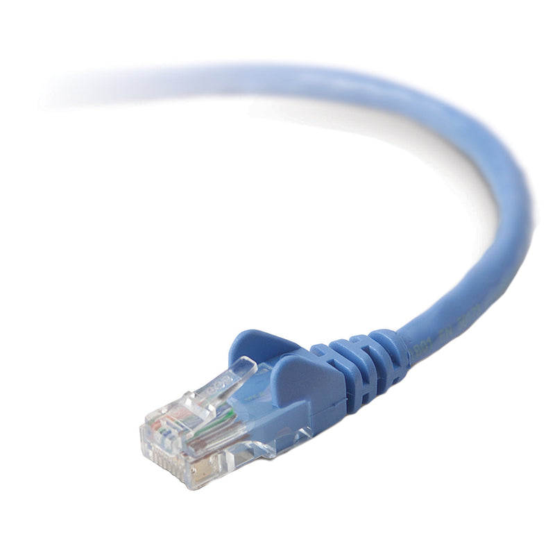 Close-up view of Belkin Cat6 network cable's RJ45 connector and blue cable jacket