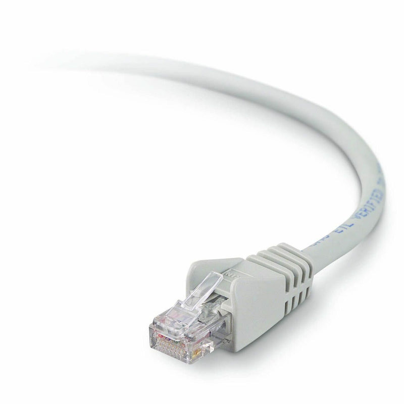 Close-up view of Belkin Cat6 network cable's RJ45 connector showing transparent housing and gray cable jacket