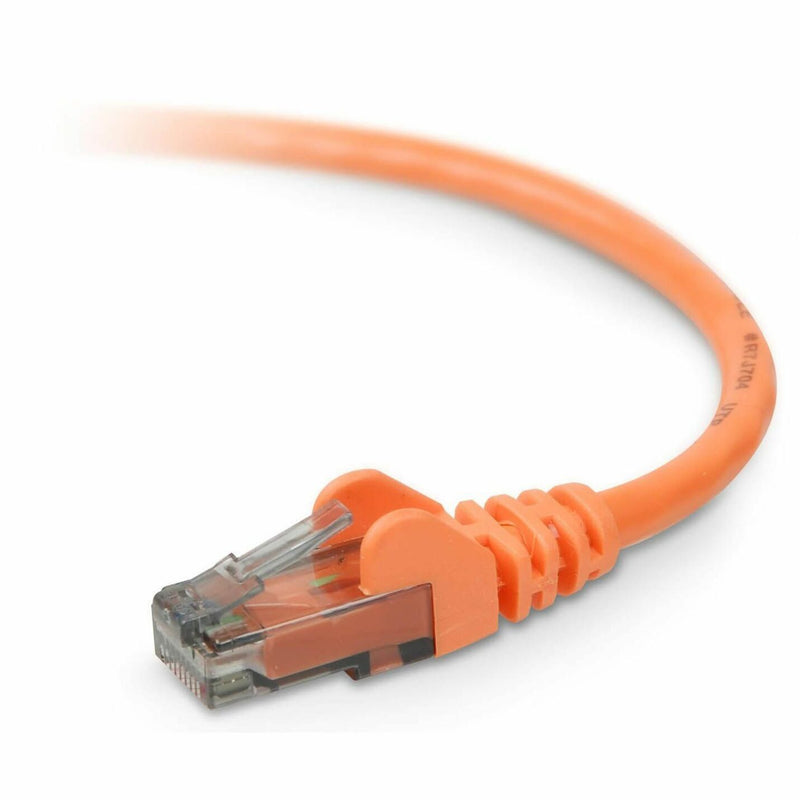 Close-up of orange Belkin Cat6 network cable with transparent RJ45 connector and snagless boot design