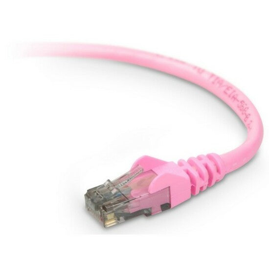 Pink Cat6 Ethernet cable with snagless boot and transparent RJ-45 connector against white background