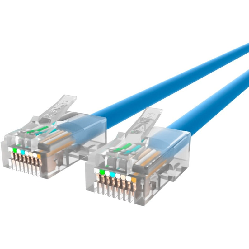 Close-up view of Belkin CAT6 Ethernet cable's transparent RJ45 connectors showing gold-plated pins and blue cable jacket