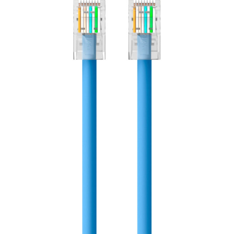 Top view of Belkin CAT6 cable RJ45 connector showing internal wire arrangement and pin layout