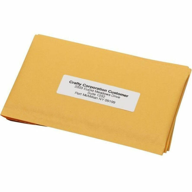 Manila envelope with applied SLP-2RL address label showing professional appearance