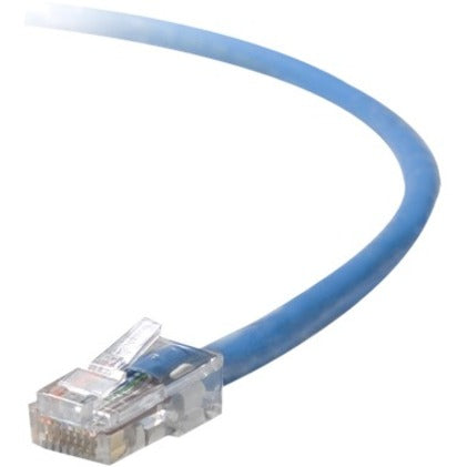 Blue Cat6 ethernet patch cable with transparent RJ45 connector showing gold-plated contacts