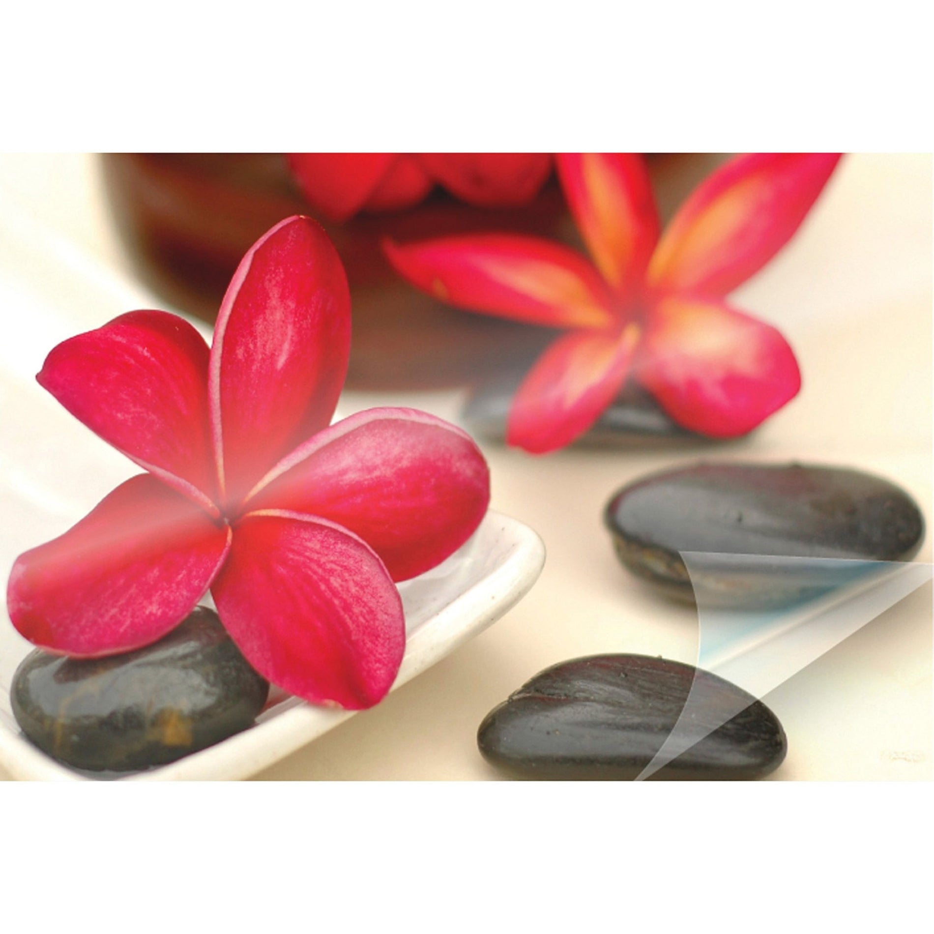 Laminated image of red plumeria flowers with zen stones showing color clarity-alternate-image4