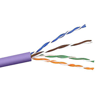 Close-up view of Belkin Cat.6 cable cross-section showing purple jacket and color-coded twisted pair conductors