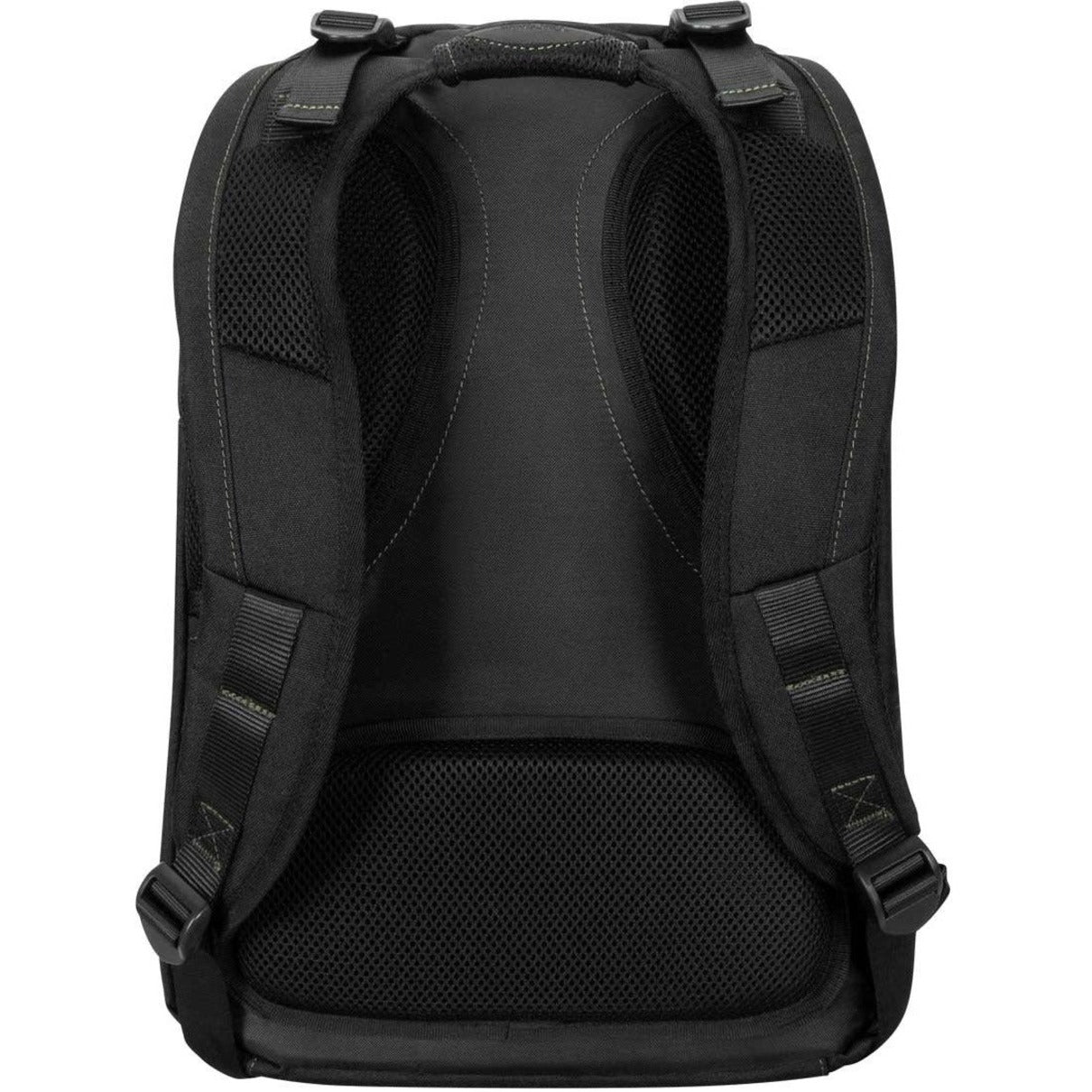 Targus Spruce EcoSmart Notebook Backpack (TBB013US) Rear image