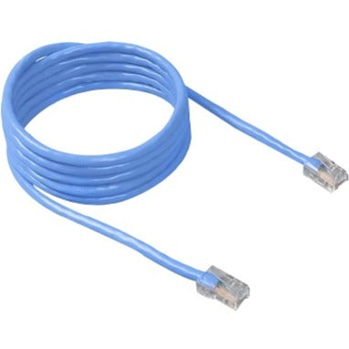 Blue Belkin CAT6 network patch cable with snagless connectors coiled in a circular pattern showing both RJ-45 ends