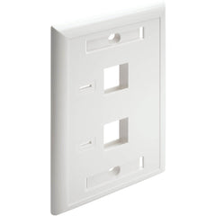 Tripp Lite N042-001-WH Single Gang White Faceplate, 2-Socket Keystone Wall Plate for Cat6/Cat5e Jacks, TAA & RoHS Compliant - N042-001-WH (Lifetime Warranty)