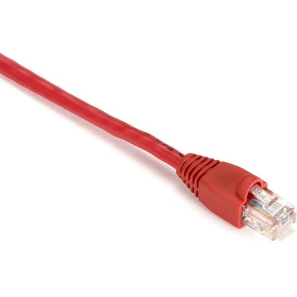 Close-up view of red Cat.5e network cable showing RJ-45 connector with gold-plated contacts and snagless boot design