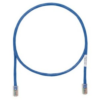 Blue Cat5e Panduit network patch cable with RJ-45 connectors coiled in circular shape