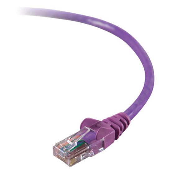 Close-up view of Belkin purple Cat5e ethernet cable's RJ45 connector with snagless boot and gold-plated pins