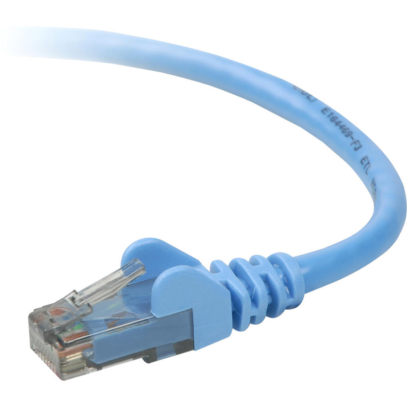 Close-up view of Belkin Cat6 network cable showing blue snagless boot and gold-plated RJ-45 connector