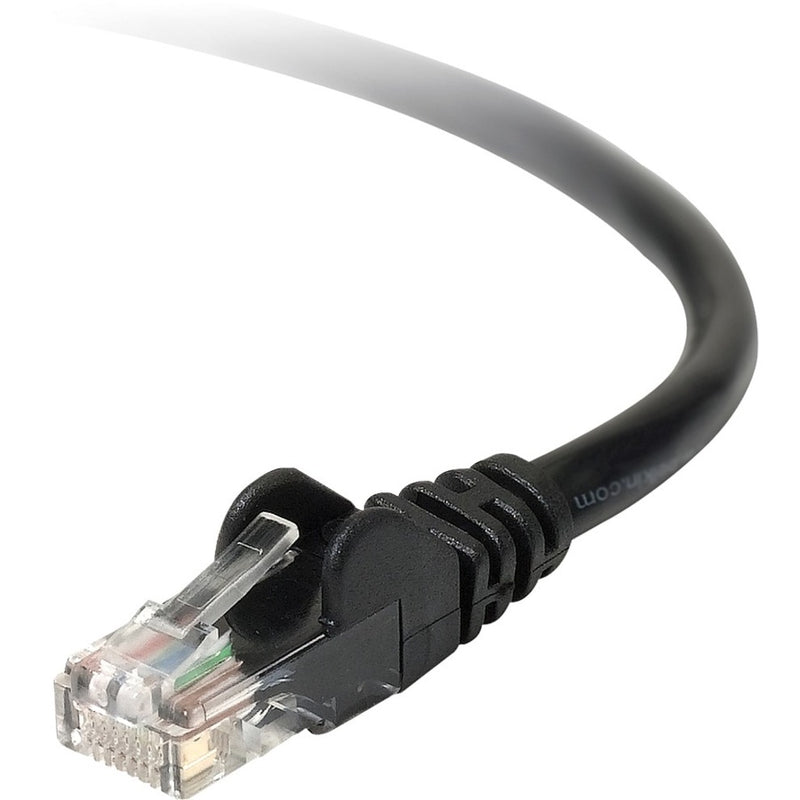 Close-up view of Belkin Cat6 network cable showing black snagless boot and gold-plated RJ-45 connector