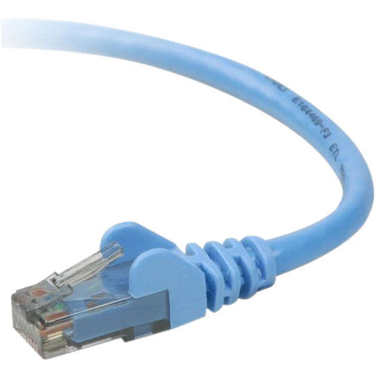 Close-up view of Belkin Cat6 cable's blue snagless connector with gold-plated RJ-45 termination and strain relief boot