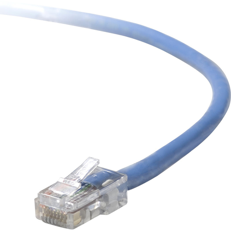 Close-up view of Belkin Cat5e blue network cable with transparent RJ-45 connector and snagless boot