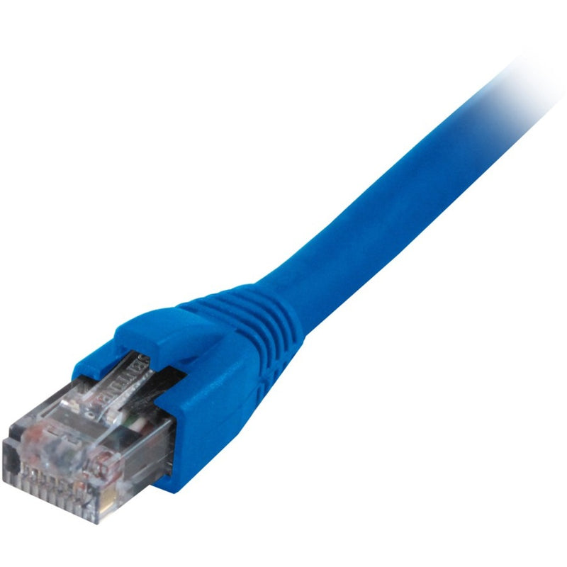 Close-up view of gold-plated RJ45 connector with transparent housing and blue snagless boot on CAT6 ethernet cable