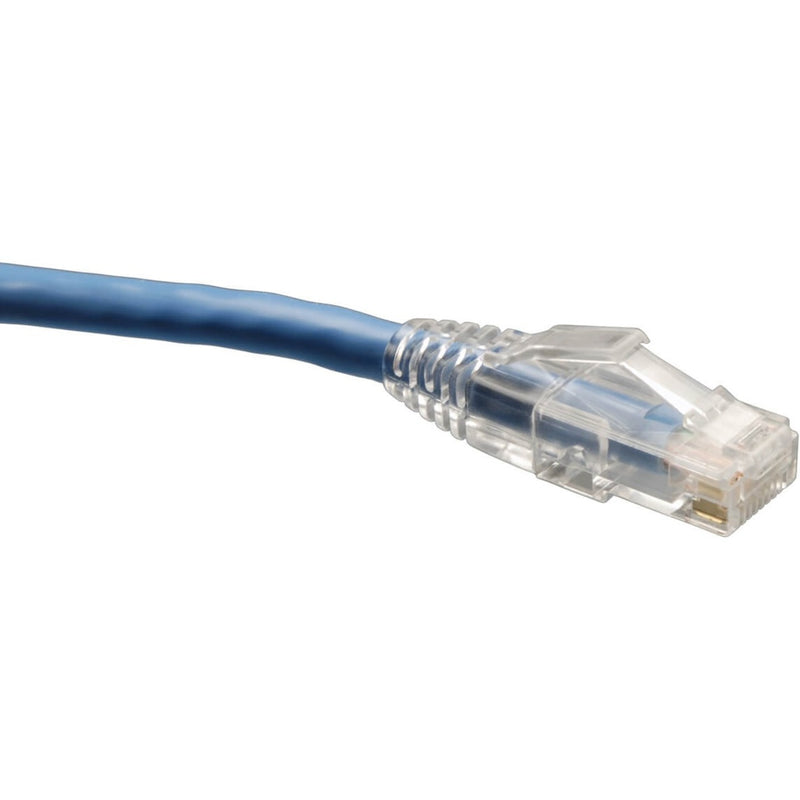 Close-up view of Tripp Lite Cat6 cable's transparent snagless RJ45 connector and blue cable jacket