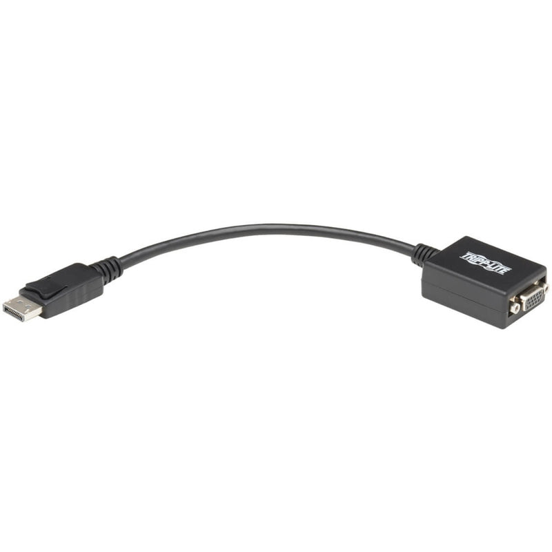 Full length view of Tripp Lite DisplayPort to VGA adapter showing compact design