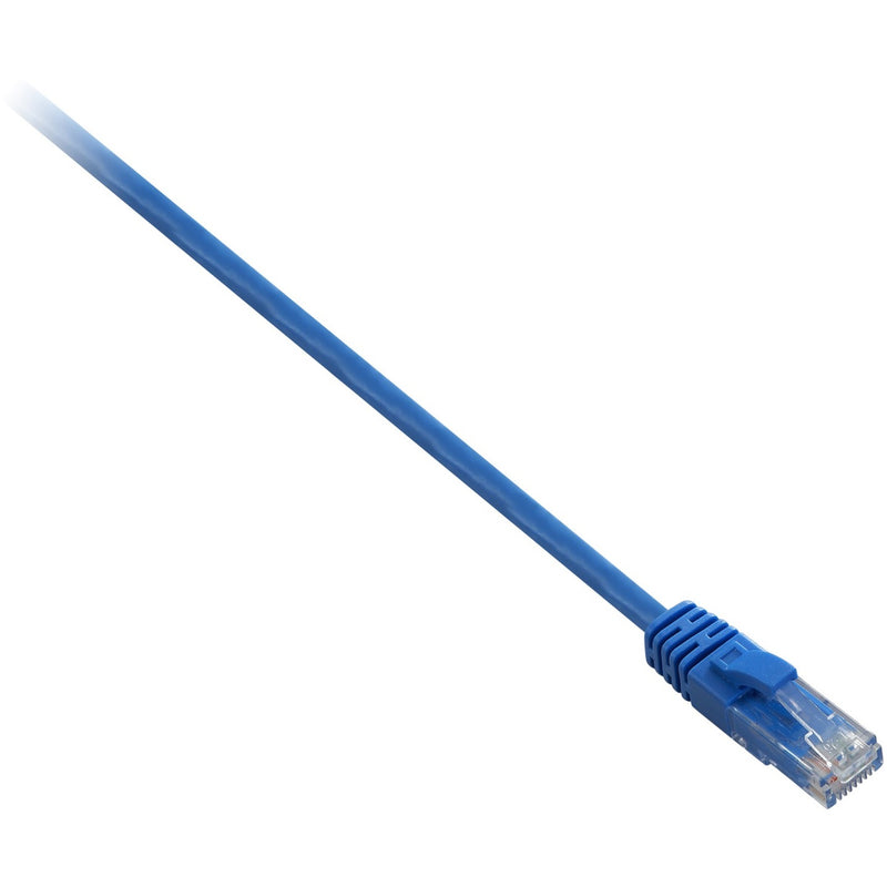 Close-up view of V7 Cat6 blue network cable with transparent RJ45 connector and snagless boot