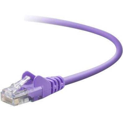 Close-up view of purple Belkin Cat5e network cable with snagless RJ45 connector