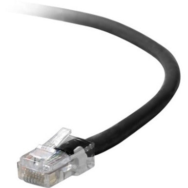 Close-up view of Belkin CAT6 network cable with transparent RJ45 connector showing gold-plated contacts and black cable jacket