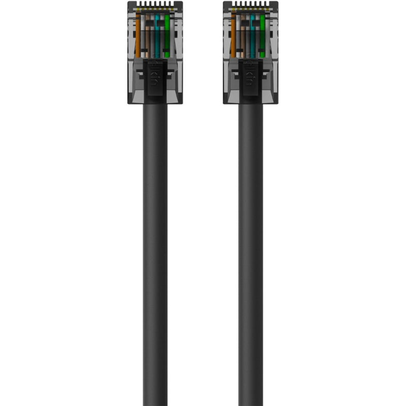 Close-up view of Belkin CAT6 ethernet cable RJ45 connectors showing internal wire arrangement and gold-plated contacts