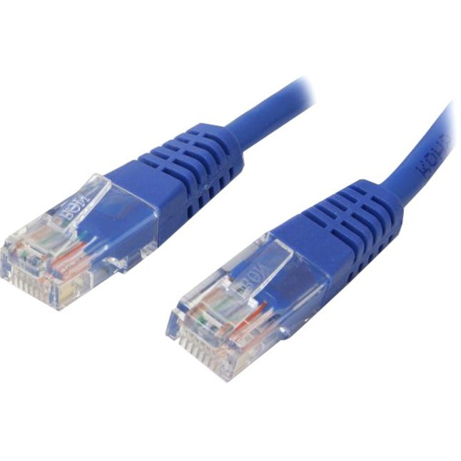 Close-up view of blue Cat5e ethernet cable with transparent RJ45 connectors showing gold-plated contacts and strain relief design