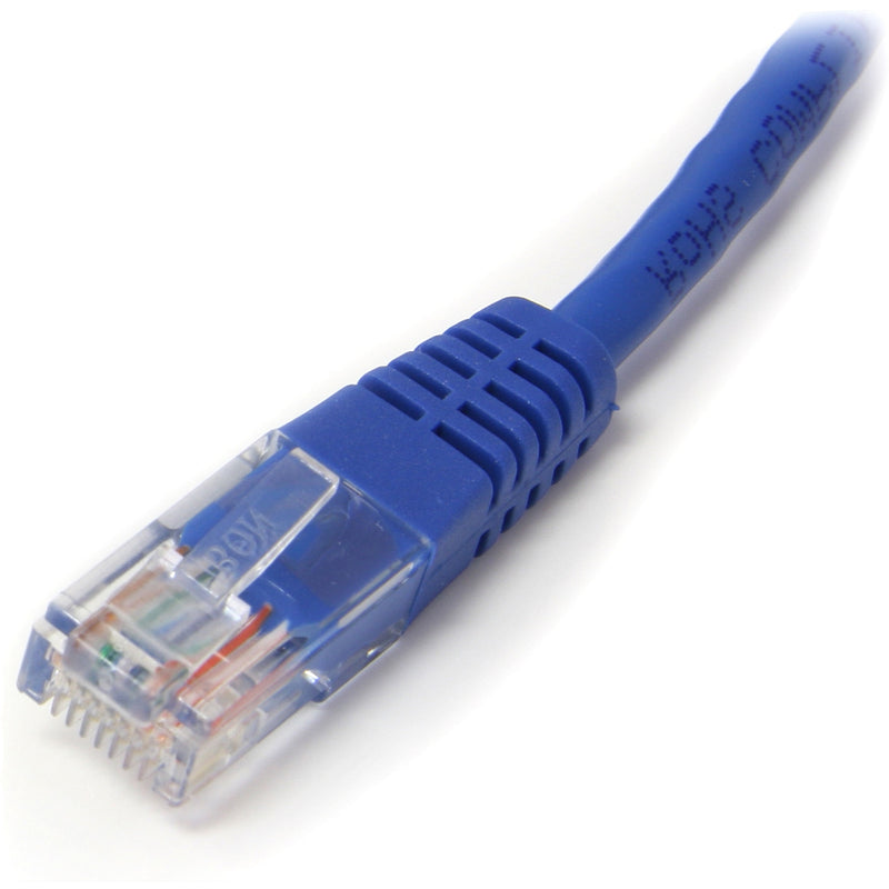 Detailed view of blue Cat5e ethernet cable connector showing molded strain relief and cable jacket