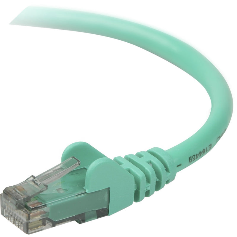 Close-up view of Belkin Cat6 green ethernet cable connector showing RJ45 termination and strain relief