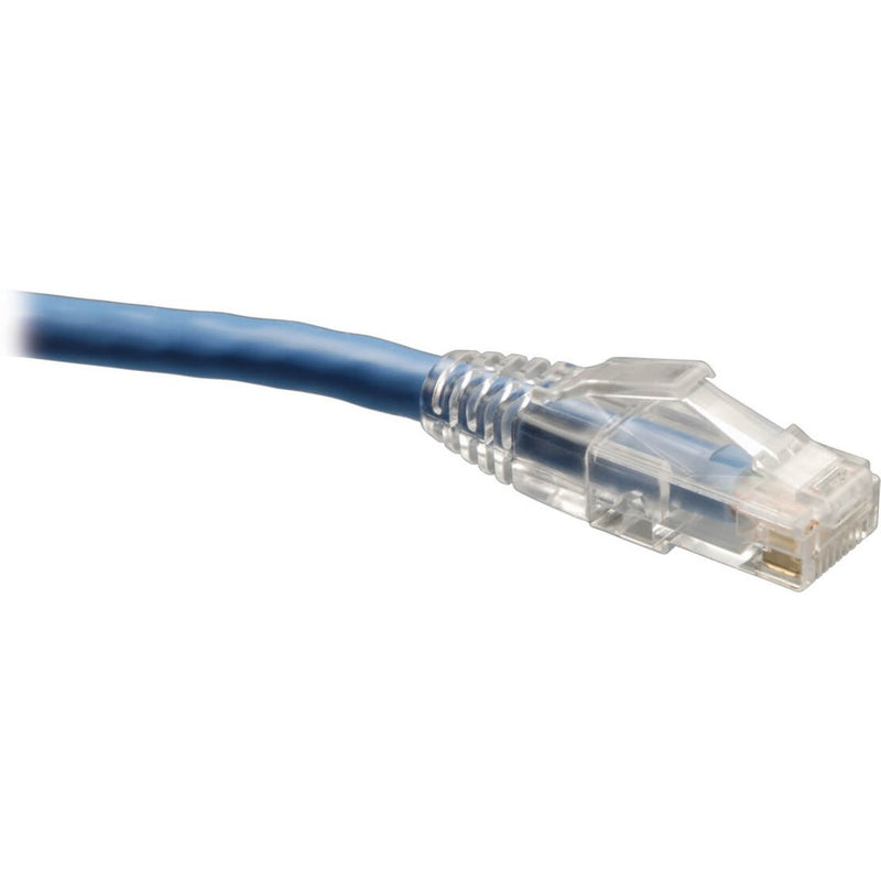 Close-up view of Tripp Lite Cat6 cable connector showing blue cable with clear snagless boot and RJ45 termination