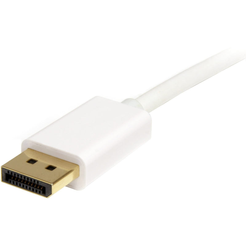 Detailed view of the full-size DisplayPort connector with gold contacts and white housing