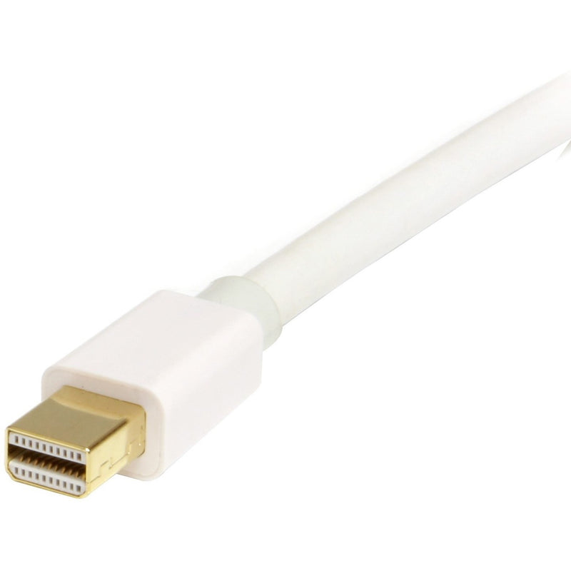 Close-up view of the Mini DisplayPort connector end showing gold-plated pins and white housing