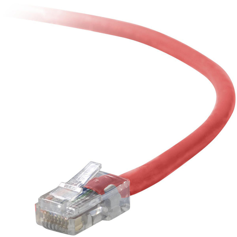 Close-up view of Belkin Cat5e red network cable with transparent RJ-45 connector