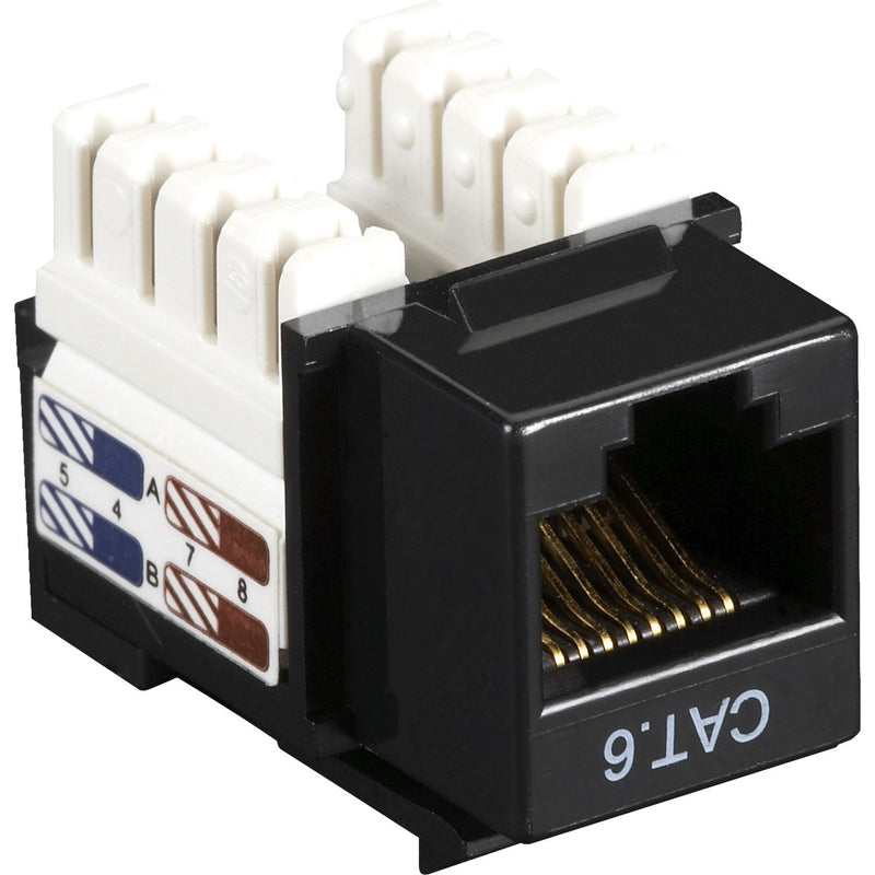 Black Box CAT6 Keystone Jack showing gold-plated contacts, 110-style termination block, and CAT6 labeling