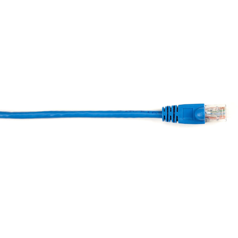 Close-up view of Black Box CAT6 blue network cable with snagless RJ-45 connector showing gold-plated contacts