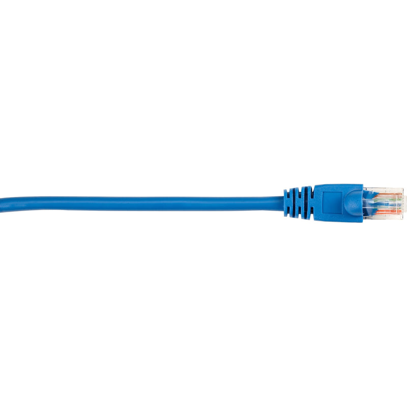 Close-up view of Black Box Cat5e network cable's blue snagless boot and RJ-45 connector showing gold-plated contacts