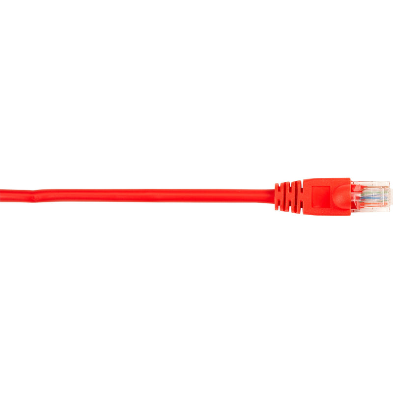 Red Cat5e network patch cable with snagless boot and RJ-45 connector close-up view