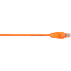 Black Box Connect Cat.5e UTP Network Cable, Orange, Snagless RJ-45 M/M, 1 Gbit/s, PoE Ready, Gold Plated, 5ft - CAT5EPC-005-OR (2 Year Warranty)